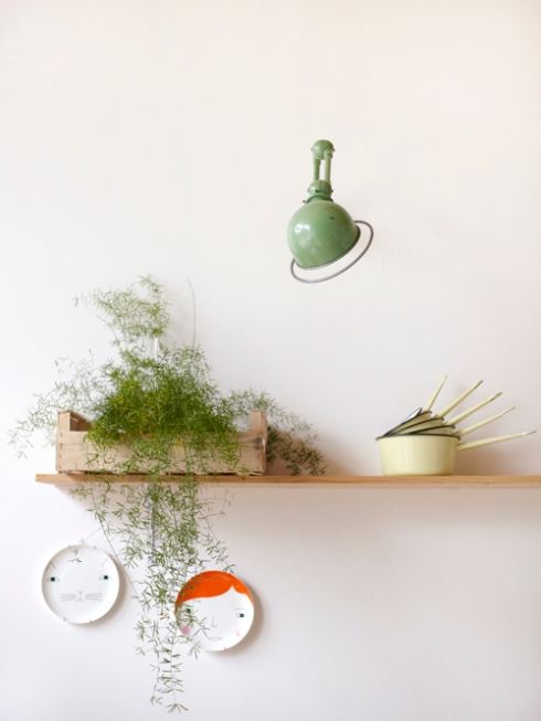 kitchen shelf with plant